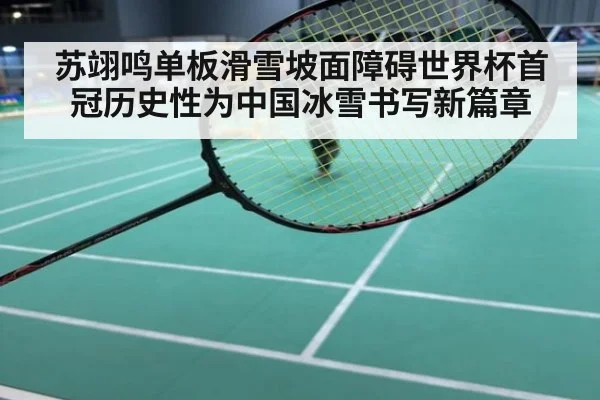 苏翊鸣单板滑雪坡面障碍世界杯首冠历史性为中国冰雪书写新篇章